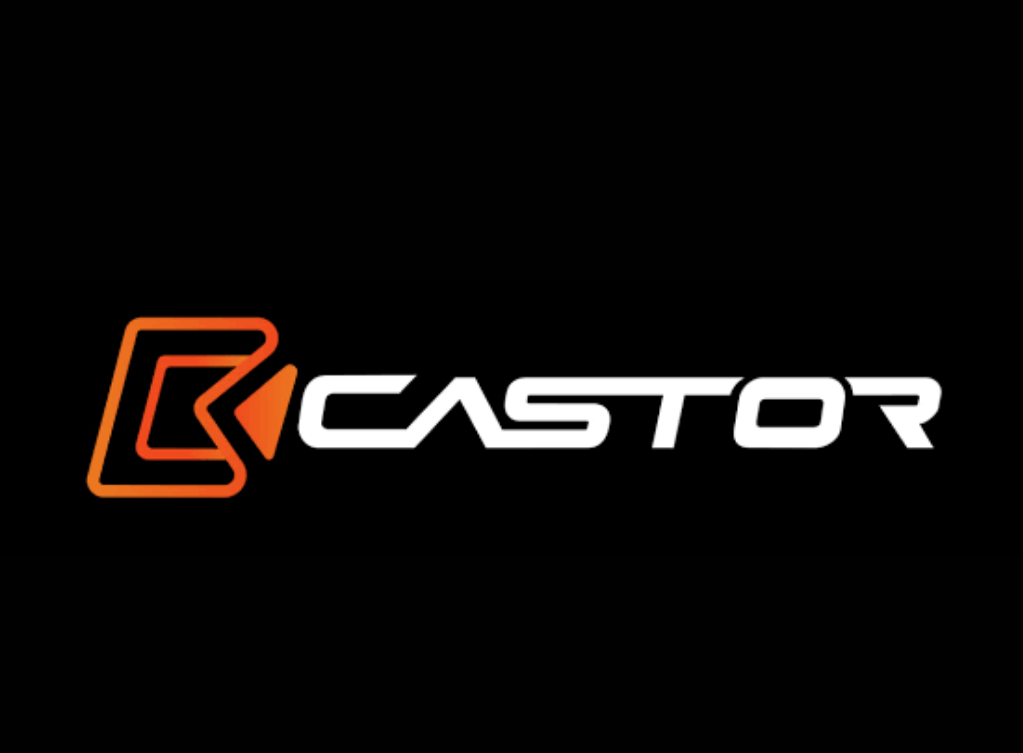 CASTOR